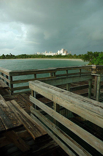 Storm Brewing